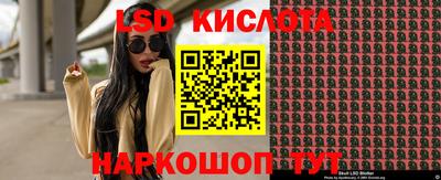 шишки Балашиха