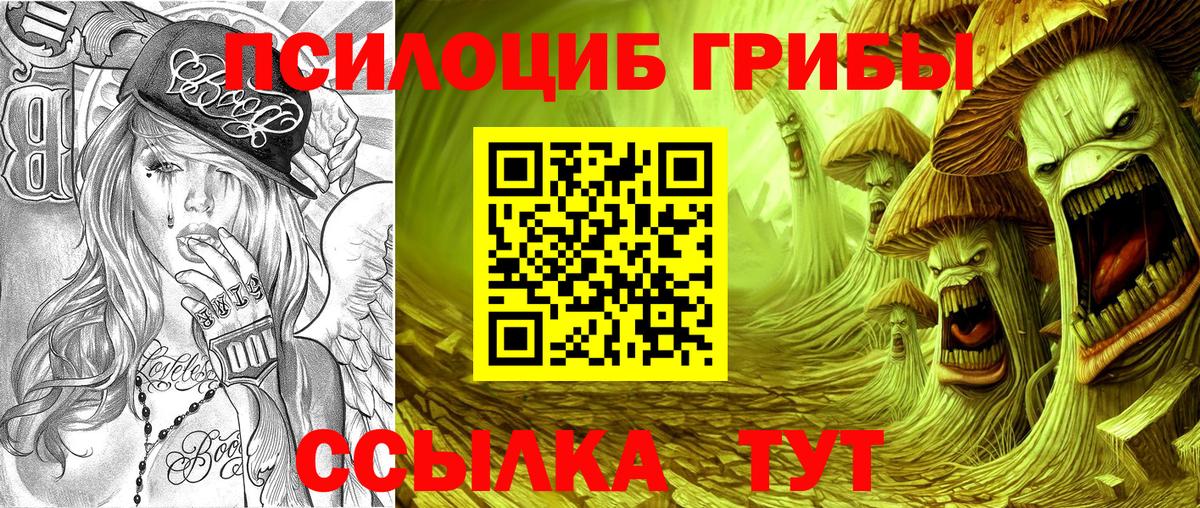 Псилоцибиновые грибы Psilocybe  даркнет сайт  Дивногорск  Вход с VPN 