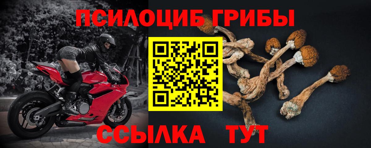 Галлюциногенные грибы мицелий Дивногорск
